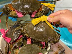 -辣螃铠盆盆蟹大排档(总店)