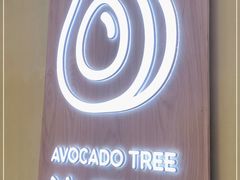 -油梨树AVOCADO TREE(嘉里中心店)