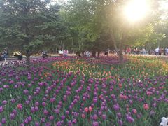 -长春公园(普阳街道)