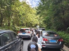 -广州市帽峰山景区
