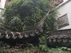 -光裕书厅·评弹茶馆·剧场(观前街店)
