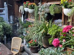 -龙姐私房菜(和顺古镇店)