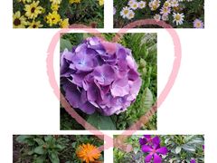 -驿舍·民國老营房院子私房菜(科学会堂店)