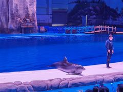 -华夏文旅海洋公园