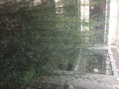 真爱中国餐馆(年华店)-真爱中国餐馆·年华店(朱雀大街店)