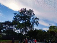 -晓港公园