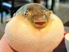 -永安鱼庄·镇江菜(东吴路店)