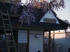 -Blue Concept Cafe&Farm·關於藍