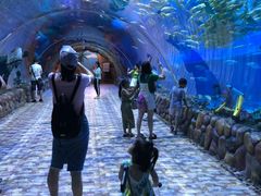 -华夏文旅海洋公园