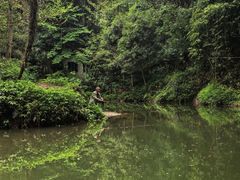 -凤栖山