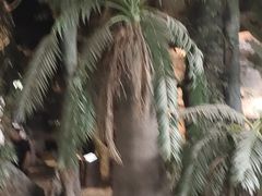 -昆明动物博物馆