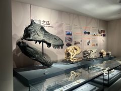 -自贡恐龙博物馆