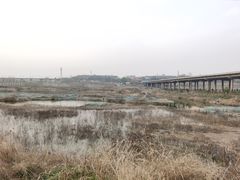 -洨河生态公园