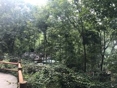 -藏龙百瀑风景区