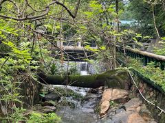 -广东温泉宾馆