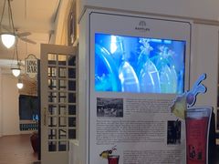 -Long Bar(莱佛士酒店)