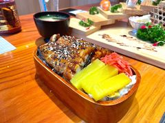 鳗鱼饭-文三酒肆自助放题(新街口友谊广场店)