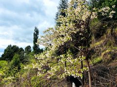 -金堂县云顶石城风景区