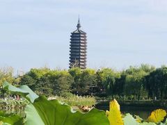 -西海子公园
