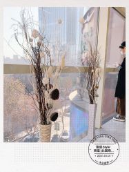 点击看大图 -巴柏style·明星