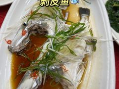-湛江渔港·大排档(乐园路总店)