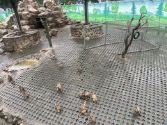 -西安秦岭野生动物园