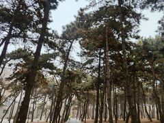 -长春市南湖公园