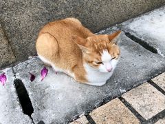 -海天堂构