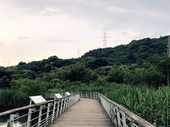 -西湖风景区-江洋畈生态公园