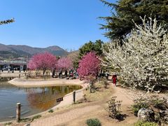 -国家植物园南园