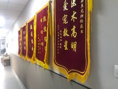 -嘉美宠物医院
