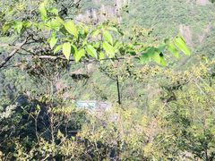 iphone_upload_pic-龙湾潭国家森林公园