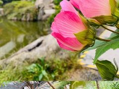 -江宁织造博物馆