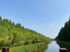 -黄海国家森林公园