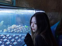 -贝壳梦幻世界