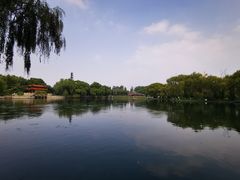 -百脉泉景区