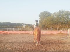 -月河湾马术俱乐部(朝阳店)