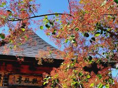 -周口店坡峰岭风景区