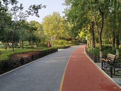 -大兴滨河森林公园