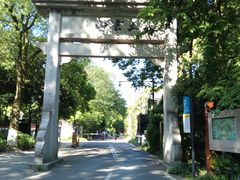 -西湖风景区十里琅珰-五云山