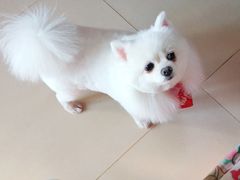 -纳吉亚猫专科动物诊疗中心(蒋宅口分院)