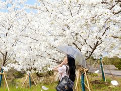 -梁鸿国家湿地公园