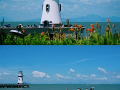 -港珠澳大桥(珠海段)