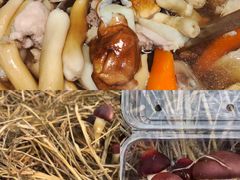 -新地休闲农场