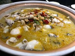 -百岁鱼(望月路店)