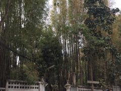 -Bamboo Saturday Market(Nana Jungle)
