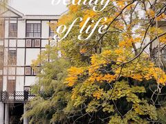 -上海银珠苑度假村-地面停车场