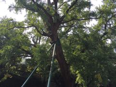 -无锡惠山寺