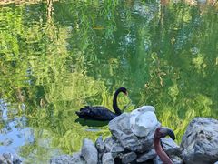 -天毓山庄·餐厅