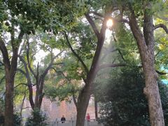 -长沙市青少年宫